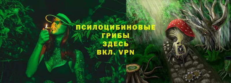 Галлюциногенные грибы MAGIC MUSHROOMS  Инза 